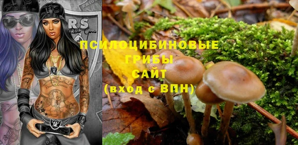 бутират Алзамай