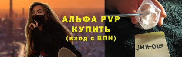 СК Алексин