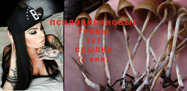 крисы Алексеевка