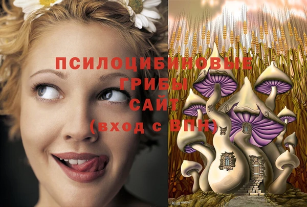 СК Алексин