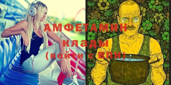 СК Алексин