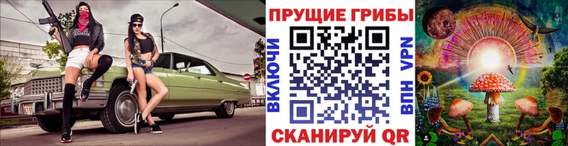 хочу   Сосновоборск  Псилоцибиновые грибы мицелий 