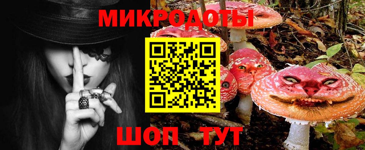 Сосновоборск  Псилоцибиновые грибы Psilocybine cubensis  Вход с VPN  Псилоцибиновые грибы прущие грибы 
